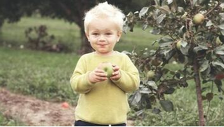 Un enfant déguste une pomme fraîchement cueillis d'un pommier situé sur la propriété de ses parents à Chambly